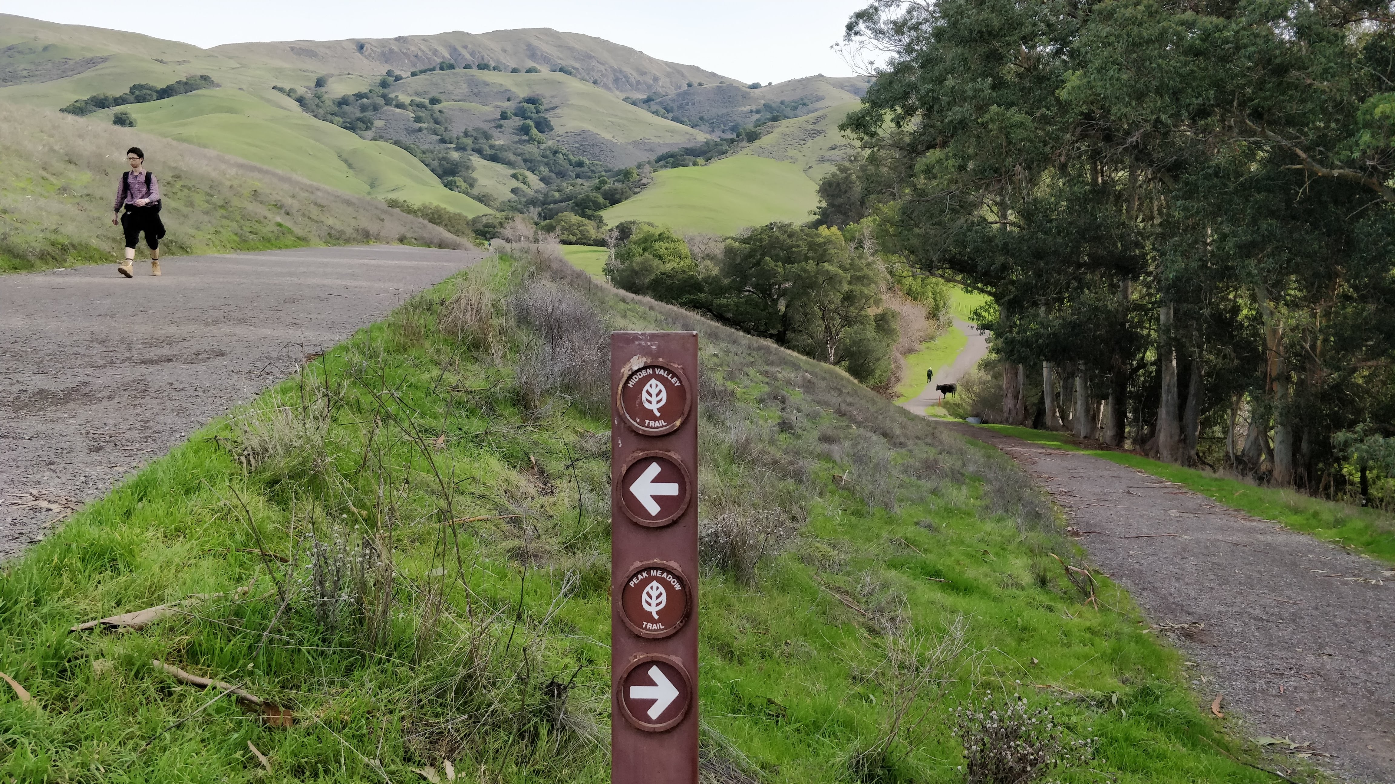 Mission Peak and Hidden Valley